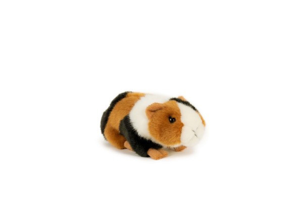 Morče plyš 16cm 0m+