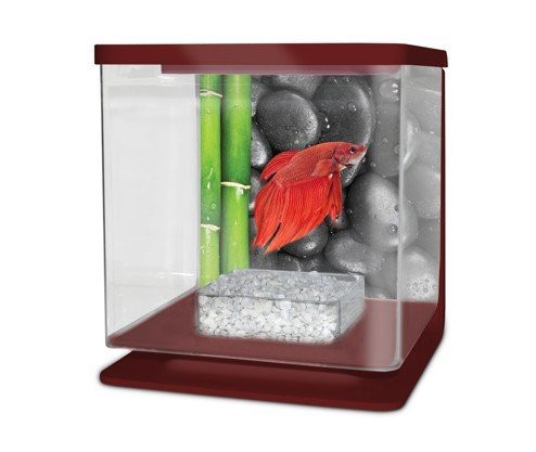 CATGATO Betarium Betta kit stones 2l