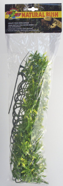 Terárijná rastlina ZMD Bolivian Croton L