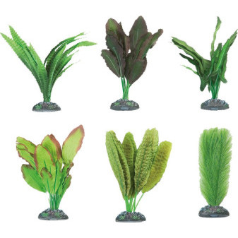 FLAMINGO akvarijní rostliny mix CONGO M