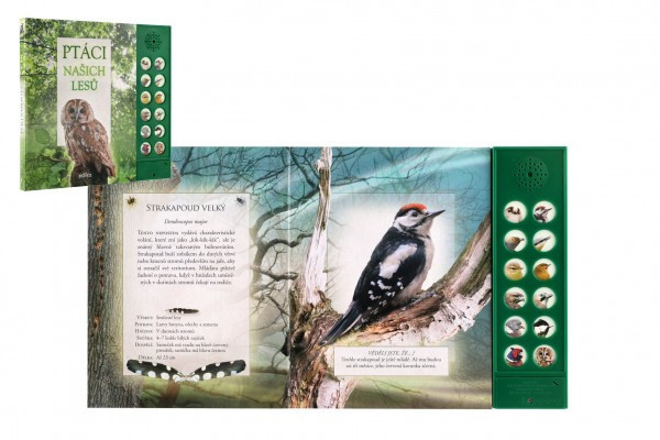 Zvuková knižka Vtáky našich lesov na batérie 22,5x21cm SK text