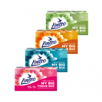 LINTEO kapesníky papírové box 2vrstvé bílé 200ks 195 x 195mm