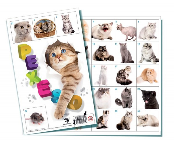 Pexeso Mačky spoločenská hra 32 obrázkových dvojíc