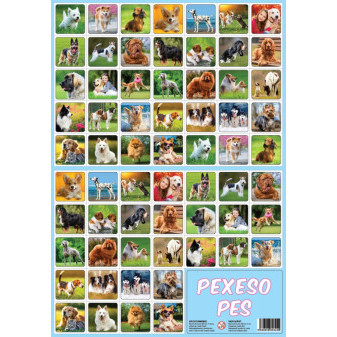 Pexeso PES