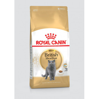 Royal Canin British Shorthair 10 kg