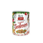 Brit Care Cat świąteczne superowoce, 100 g