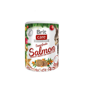 Brit Care Cat Christmas Superfruits, 100 g