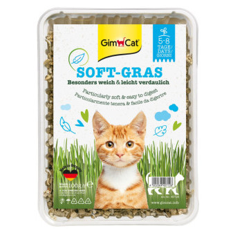 Trawa GIMCAT Miękka Trawa 100g