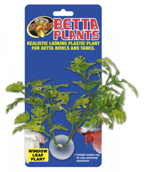 Betta Plant - rostlinka na sklo