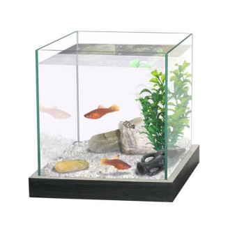 CATGATO Akvarium Cubic cerne 20x20x20