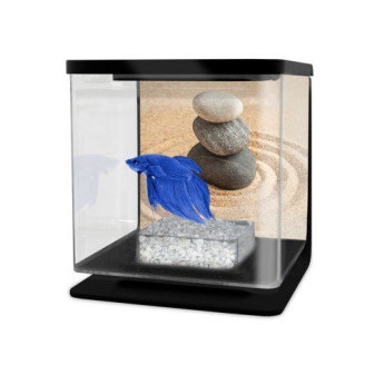 CATGATO Betarium Betta kit sand 2l