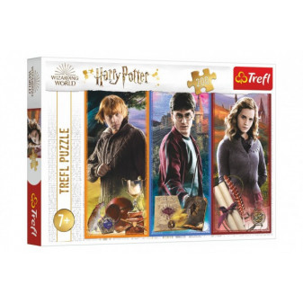 Puzzle Vo svete mágie a čarodejníctva/Harry Potter 200 dielikov 48x34cm v krabici 33x23x4cm