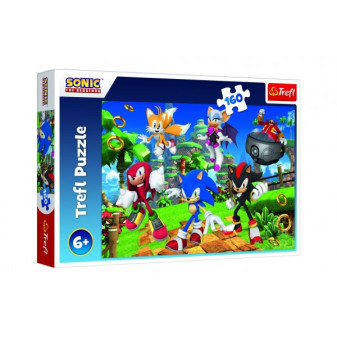 Puzzle Sonic a přátelé/Sonic The Hedgehog 41x27,5cm 160 dílků v krabici 29x19x4cm