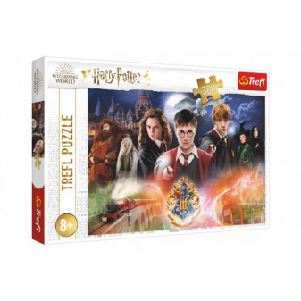 Puzzle The Secret of Harry Potter 300 elementów 60x40cm w pudełku 40x27x4cm