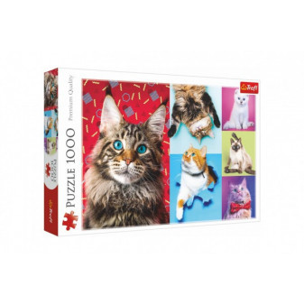 Puzzle Happy cats 1000 sztuk 68,3x48cm w pudełku 40x27x6cm