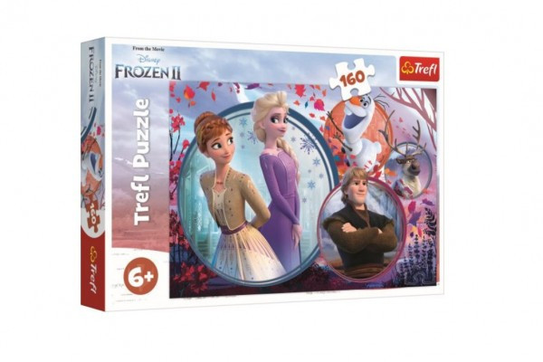 Puzzle Ľadové kráľovstvo II/Frozen II 160 dielikov 41x27, 5cm v krabici 29x19x4cm