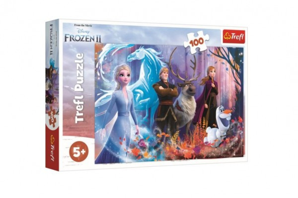 Puzzle Ľadové kráľovstvo II/Frozen II 100 dielikov 41x27,5cm v krabici 29x19x4cm