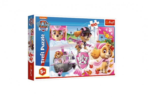 Puzzle Paw Patrol/Tlapková patrola Skye v akcii 41x27,5cm 100 dielikov v krabici 29x19x4cm