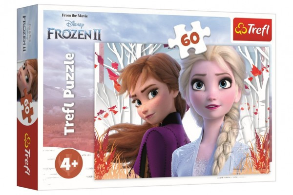 Puzzle Ľadové kráľovstvo II/Frozen II 60 dielikov 33x22cm v krabici 21x14x4cm