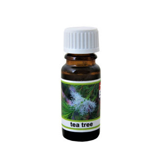 Aromatyczny olejek do lampy, pachnąca esencja, drzewo herbaciane, 10 ml