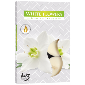 Vonná čajová svíčka Bílé květy 6 ks v krabičce P15-179