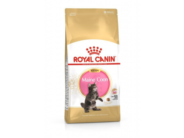 Royal Canin Kitten Maine Coon 10 kg