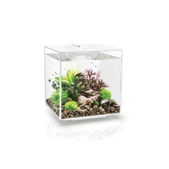 Akvarium BIORB CUBE MCR bile 30l