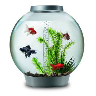 Biorb akvarijní set stríbrný 30l