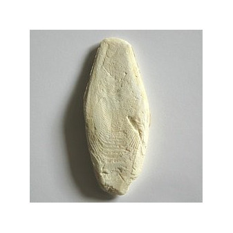 APETIT Sépiová kost 12cm