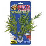 Betta Plant - Bambus