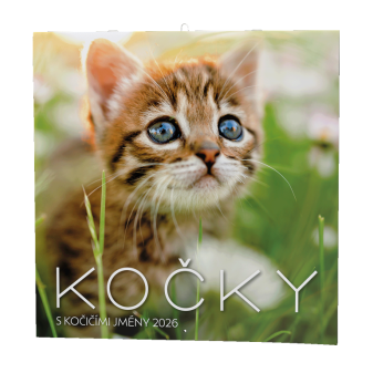 Nástěnný kalendář - Kočky
