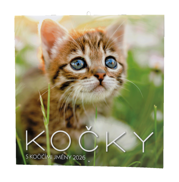 Nástěnný kalendář - Kočky