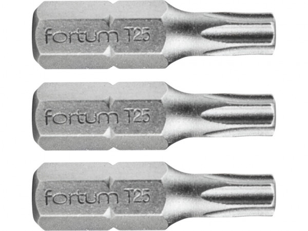 hrot TORX, sada 3ks, T 25x25mm, S2