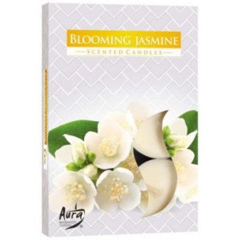 Vonná čajová svíčka Blooming Jasmine (kvetoucí jasmín) 6 ks v krabičce P15-169