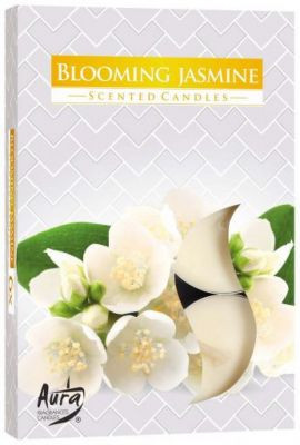 Vonná čajová svíčka Blooming Jasmine (kvetoucí jasmín) 6 ks v krabičce P15-169