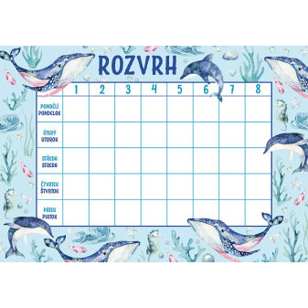 Rozvrh hodin Oceán