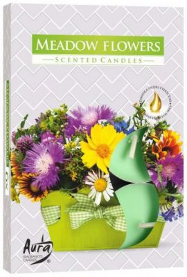 Vonná čajová svíčka  Meadow Flower (kvetoucí louka) 6 ks v krabičce