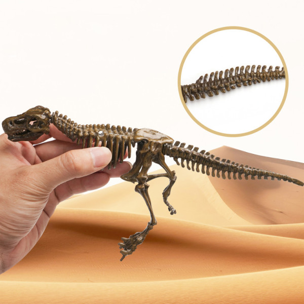 Aga4Kids Sada pro malé paleontology T-Rex