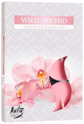 Vonná čajová svíčka Wild Orchid 6 ks v krabičce P15-170