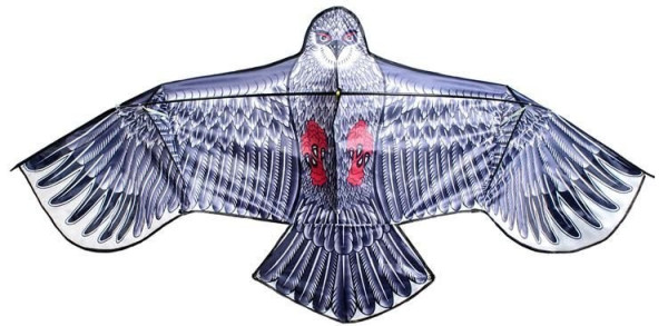 Létající Drak Orel 170 x 85cm