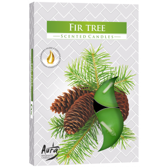 Vonná čajová svíčka Jedle Fir tree 6 ks v krabičce p15-273
