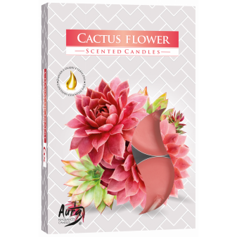 Świeca zapachowa Kwiat kaktusa Kwiat kaktusa 6 szt w pudełku p15-312